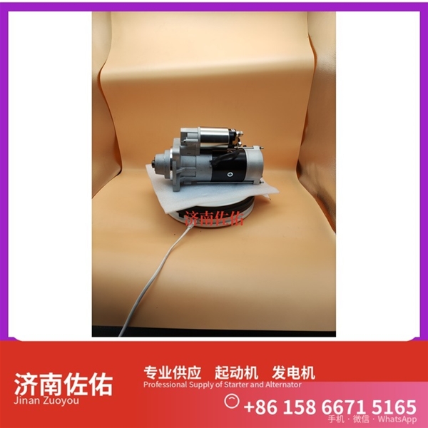 江苏E049361000002起动机08821095 发电机 Sany SR150 WP12