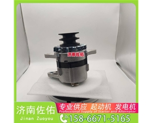 江苏4280005645起动机20409228发电机 斗山 DB/DL WP4.6 锡柴 CA4DF 斗山｜DX215｜DB58 卡特 336D2 C13 玉柴 YCK05 潍柴 WP2.3 启动机