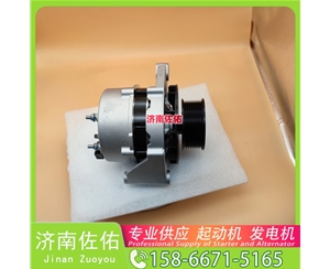 江苏发电机 1001828445启动机3103950 XCMG XR120 WP10