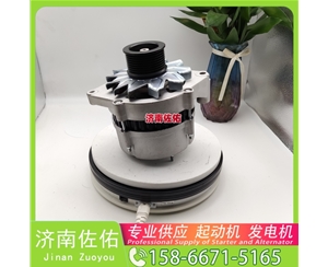 江苏LPT407EX起动机01243252384AR 天龙VL JS300 济南佐佑 发电机 KCM1起动机1986A01034 ZX200 3406E 济南佐佑 起动机 0001601028起动机231